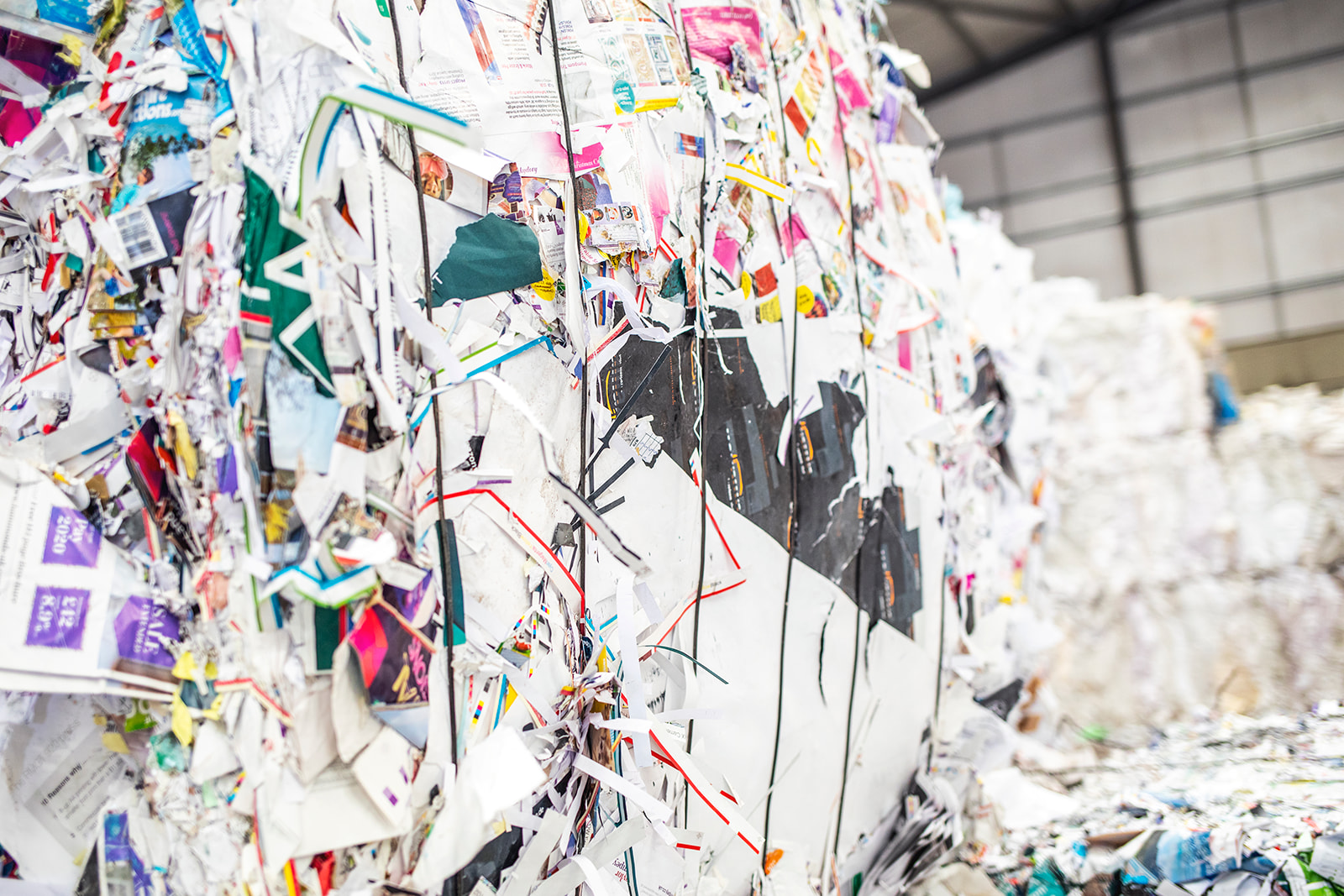 How Recycling with Bolton Brothers Helps Suffolk Businesses Save Money